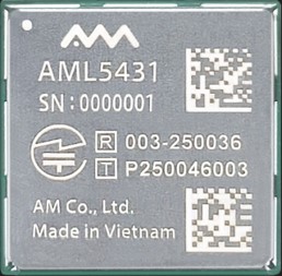 AML5431